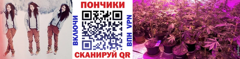 Купить где  Сельцо  Марихуана семена 